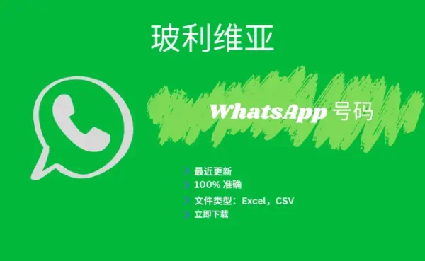 玻利维亚 WhatsApp 号码