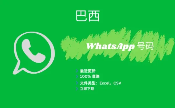 巴西 WhatsApp 号码