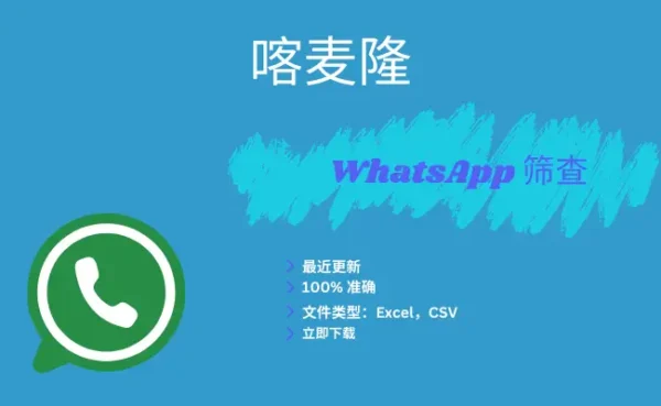 喀麦隆 WhatsApp 筛查