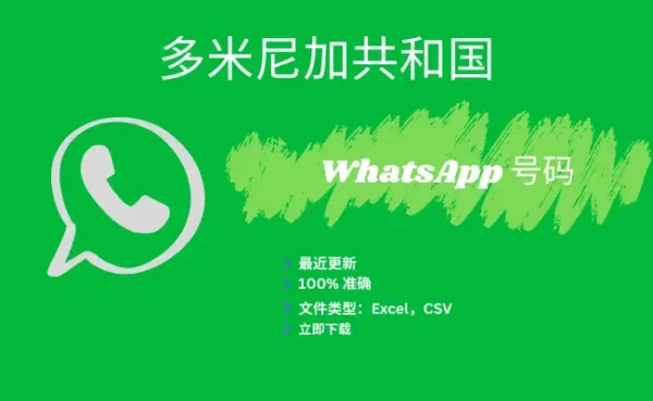 多米尼加共和国 WhatsApp 号码