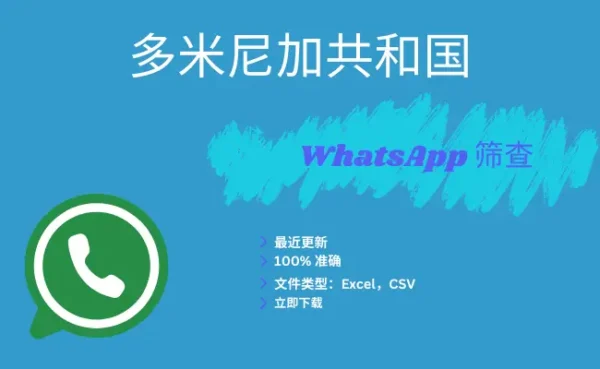 多米尼加共和国 WhatsApp 筛查