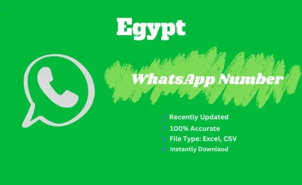 Egypt whatsapp number