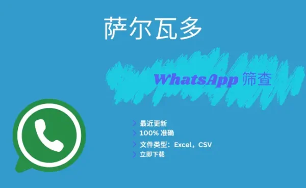 萨尔瓦多 WhatsApp 筛查