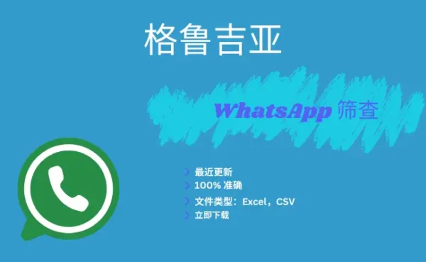 格鲁吉亚 WhatsApp 筛查