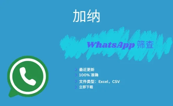 加纳 WhatsApp 筛查