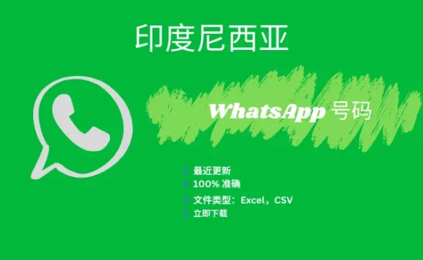 印度尼西亚 WhatsApp 号码