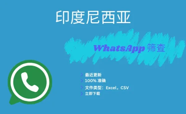 印度尼西亚 WhatsApp 筛查