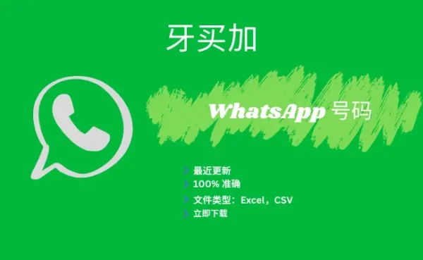 牙买加 WhatsApp 号码