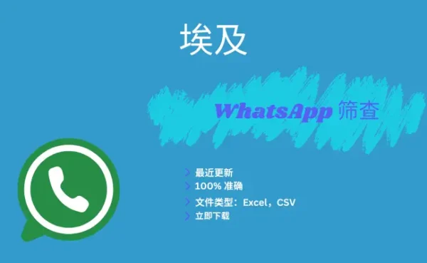埃及 WhatsApp 筛查
