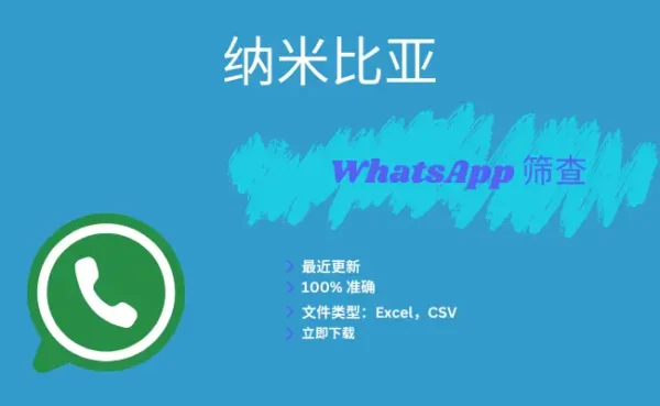纳米比亚 WhatsApp 筛查