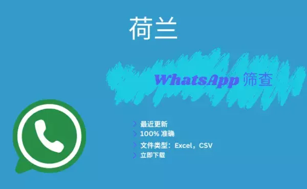 荷兰 WhatsApp 筛查